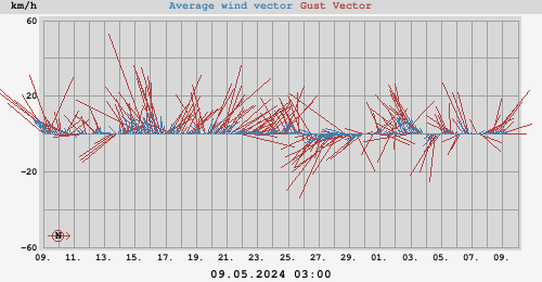 wind gust vector
